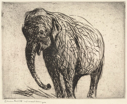 Elephant artwork (1900s) | Charles Woodbury