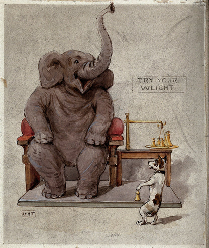 Elephant being weighed by a dog (1900s) | George Hope Tait