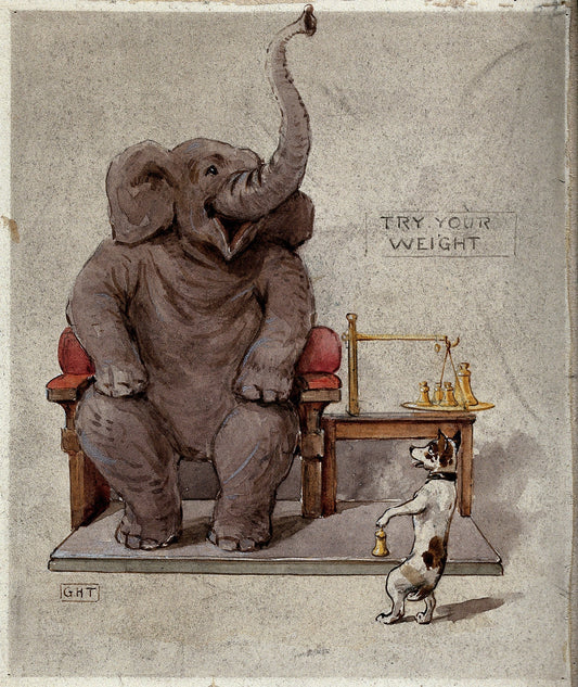 Elephant being weighed by a dog (1900s) | George Hope Tait Posters, Prints, & Visual Artwork The Trumpet Shop   