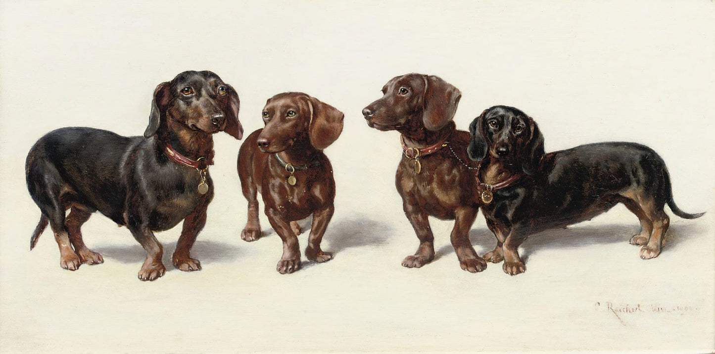 Four Dachshunds (1900s) | Vintage dachshund art | Carl Reichert Posters, Prints, & Visual Artwork The Trumpet Shop   