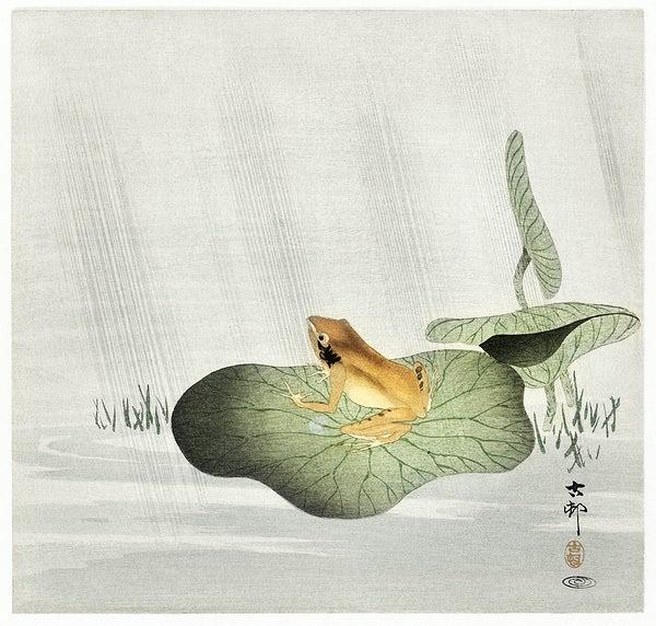 Frog on lotus leaf (1900s) | Ohara Koson | Frog Japanese prints Posters, Prints, & Visual Artwork The Trumpet Shop   