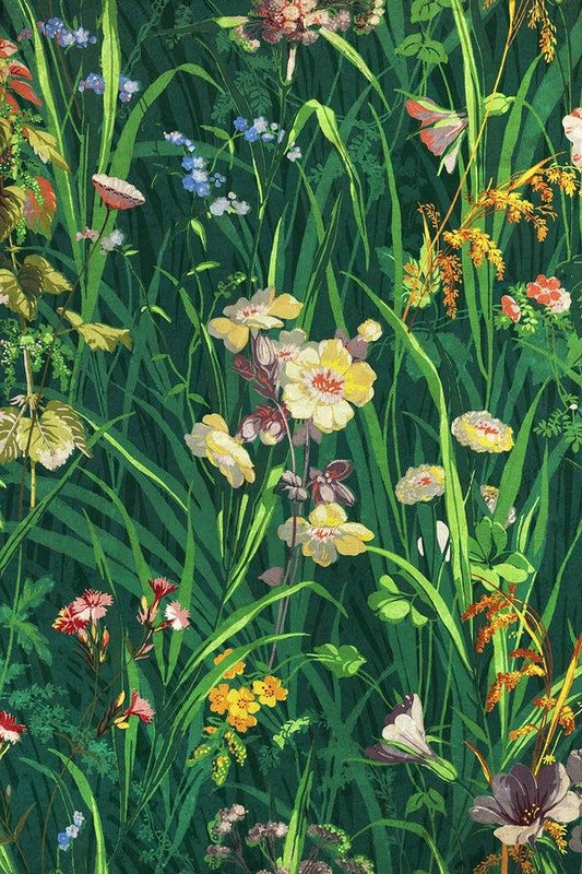 Grass with wildflowers (1800s) | Vintage wildflower prints Posters, Prints, & Visual Artwork The Trumpet Shop   