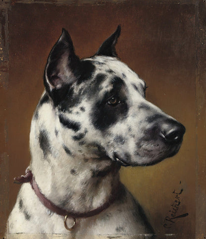 Great Dane portrait (1800s) | Dog artwork |  Carl Reichert