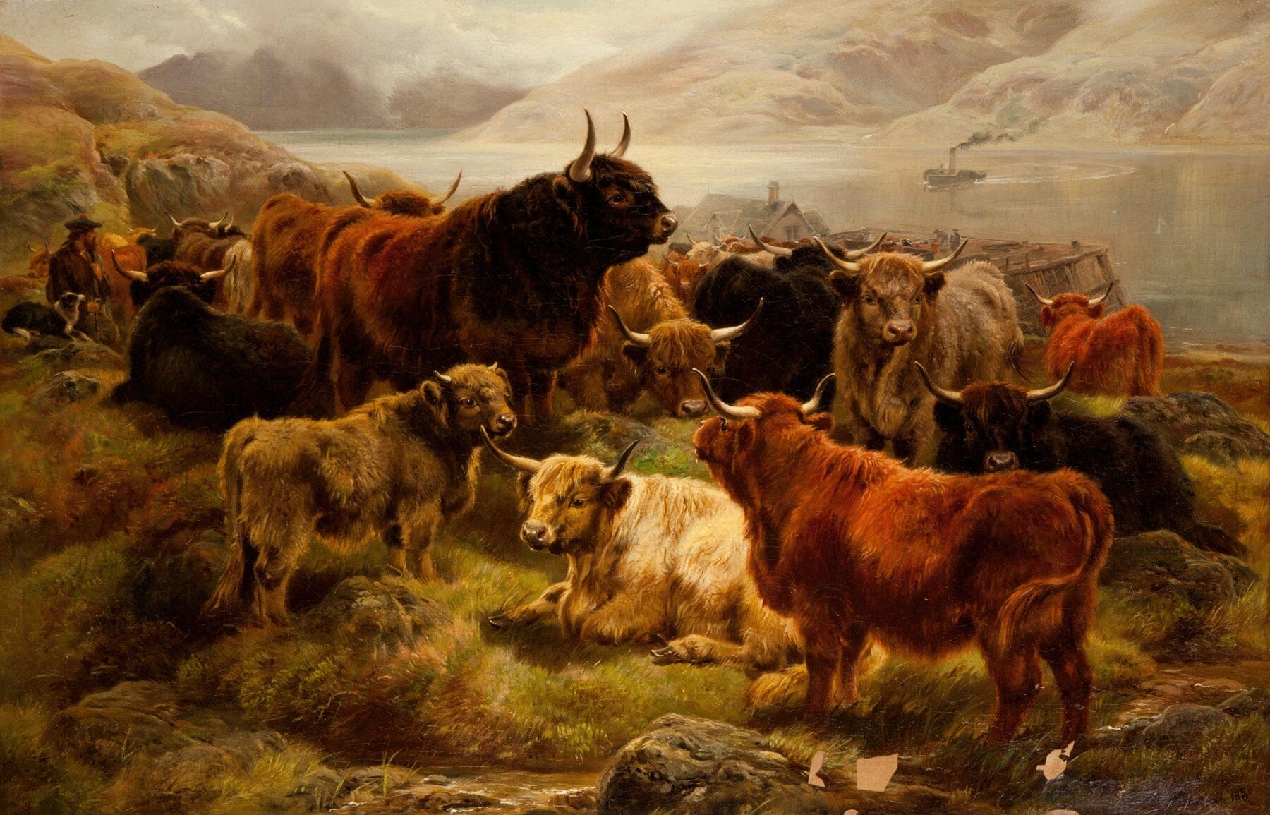 Highland Cattle (1800s) | Vintage cow art prints | William Watson Posters, Prints, & Visual Artwork The Trumpet Shop   