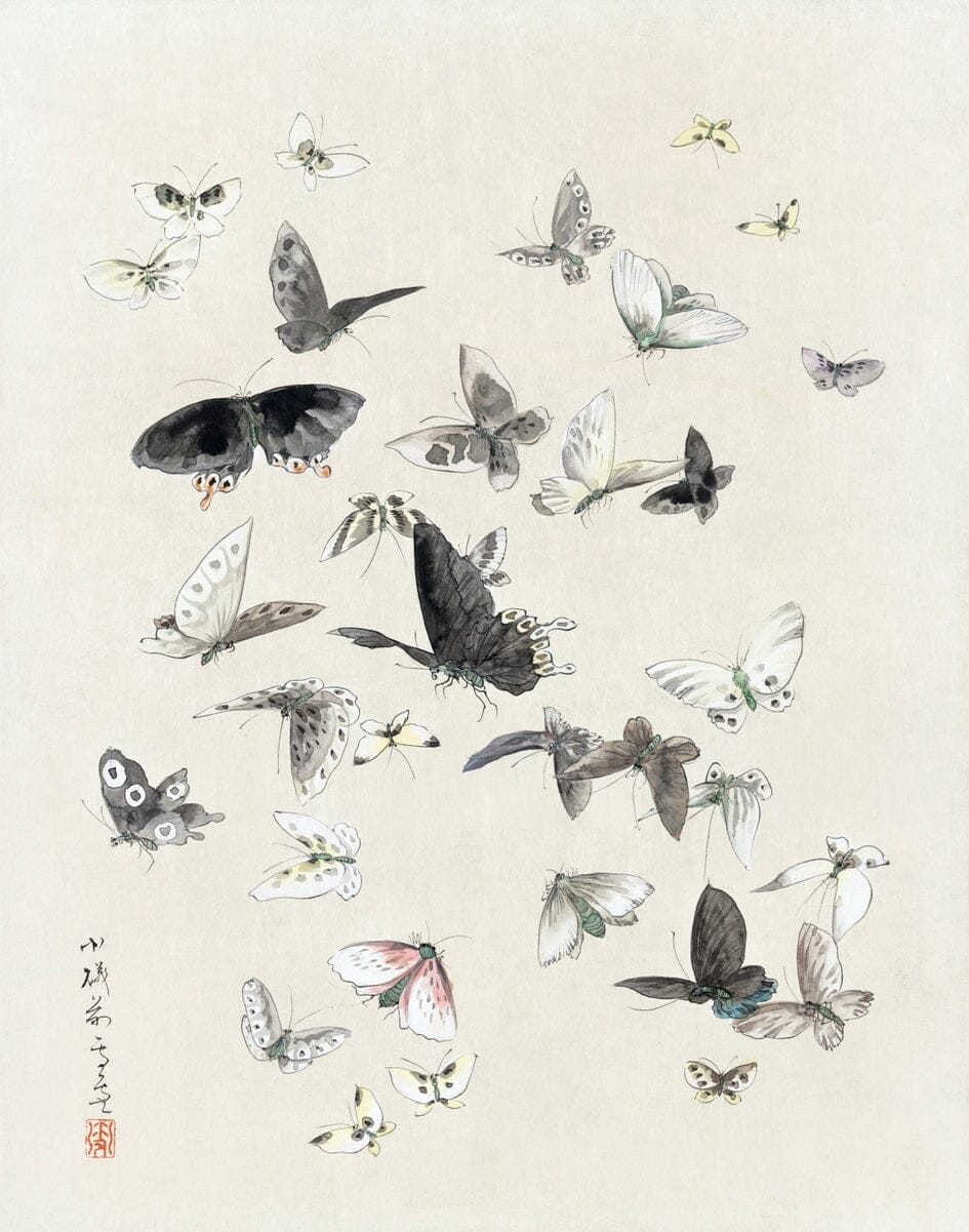 Hokusai's "Butterflies and Moths" (1800s) | Japanese prints Posters, Prints, & Visual Artwork The Trumpet Shop   
