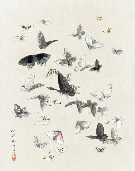 Japanese butterfly art (1800s) Hokusai Posters, Prints, & Visual Artwork The Trumpet Shop   