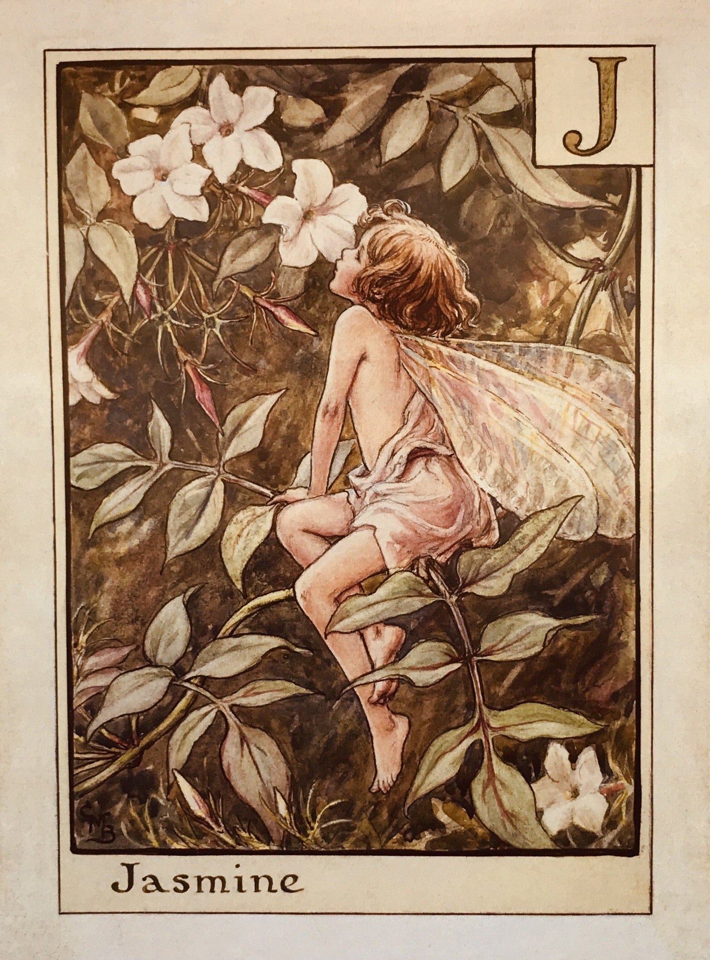 "J" Flower Fairy (1930s) | Cicely Mary Barker art print Posters, Prints, & Visual Artwork The Trumpet Shop   