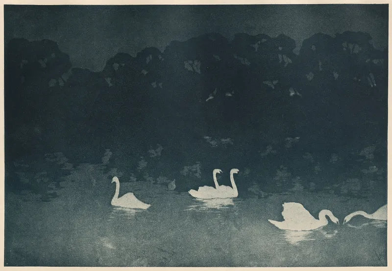 "Les Cygnes" (Swans) (1890s) | Francis Jourdain Posters, Prints, & Visual Artwork The Trumpet Shop   