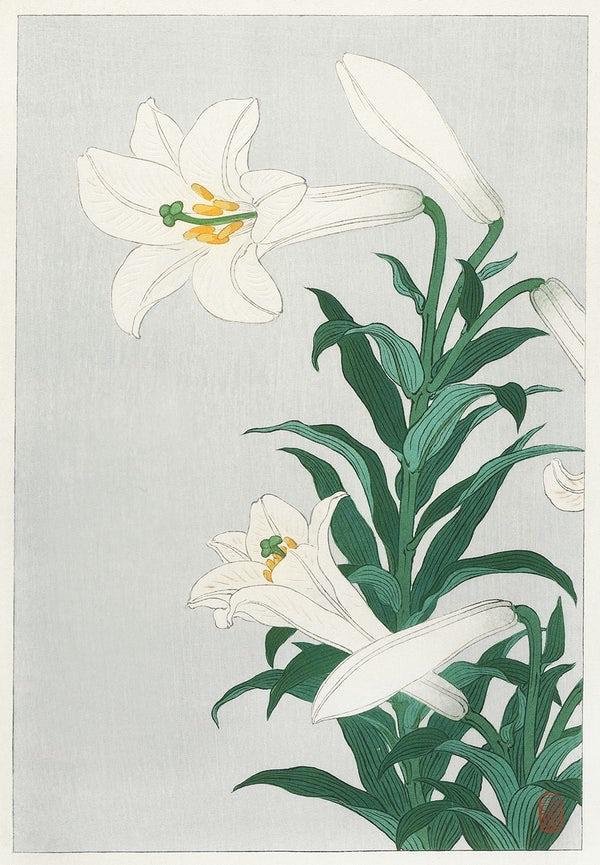 Lilies (1920s) | Ohara Koson | Japanese toilet wall art print Posters, Prints, & Visual Artwork The Trumpet Shop   