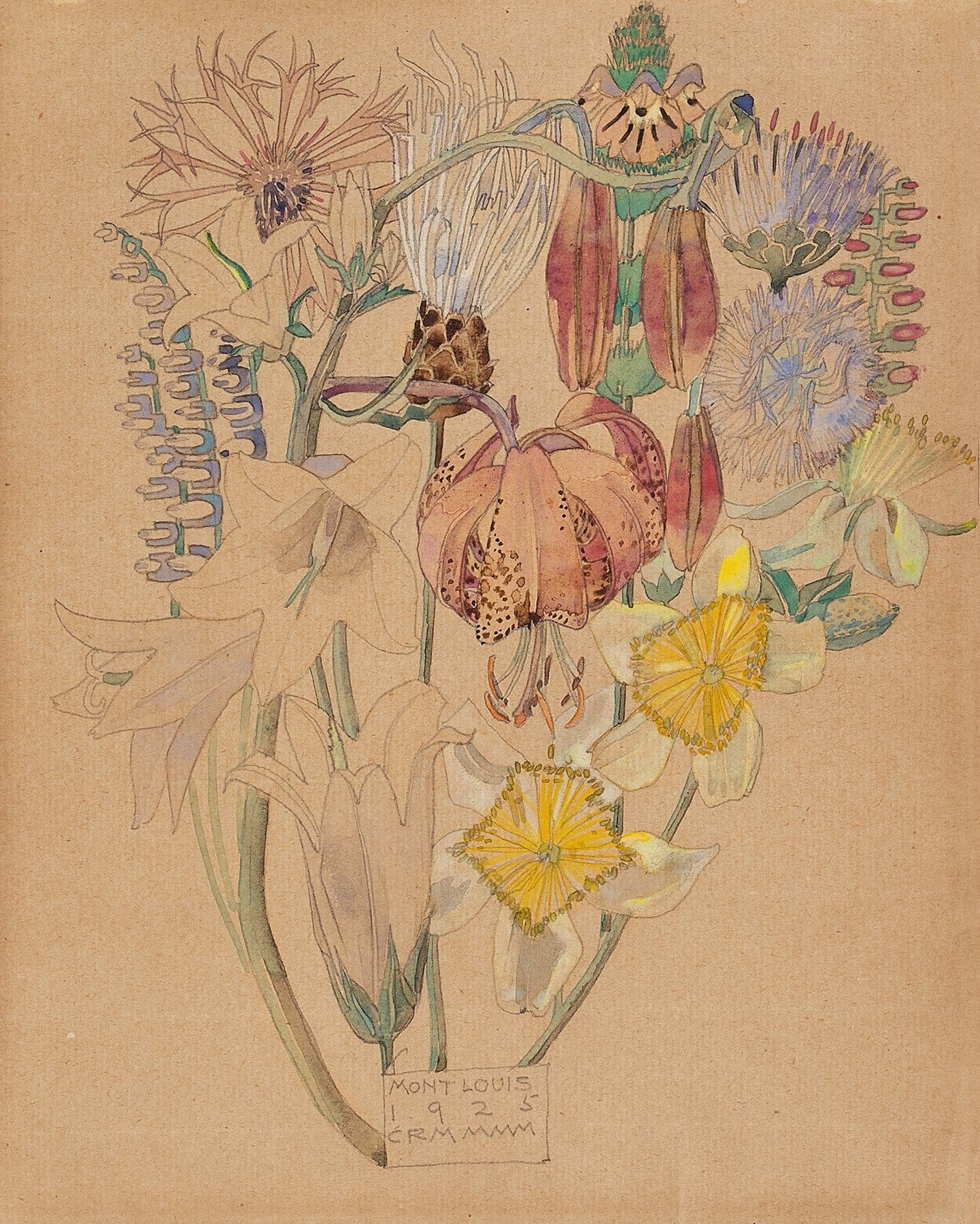 Mont Louis flower study (1920s) | Bathroom wall art print | Charles Rennie Mackintosh Posters, Prints, & Visual Artwork The Trumpet Shop Vintage Prints   