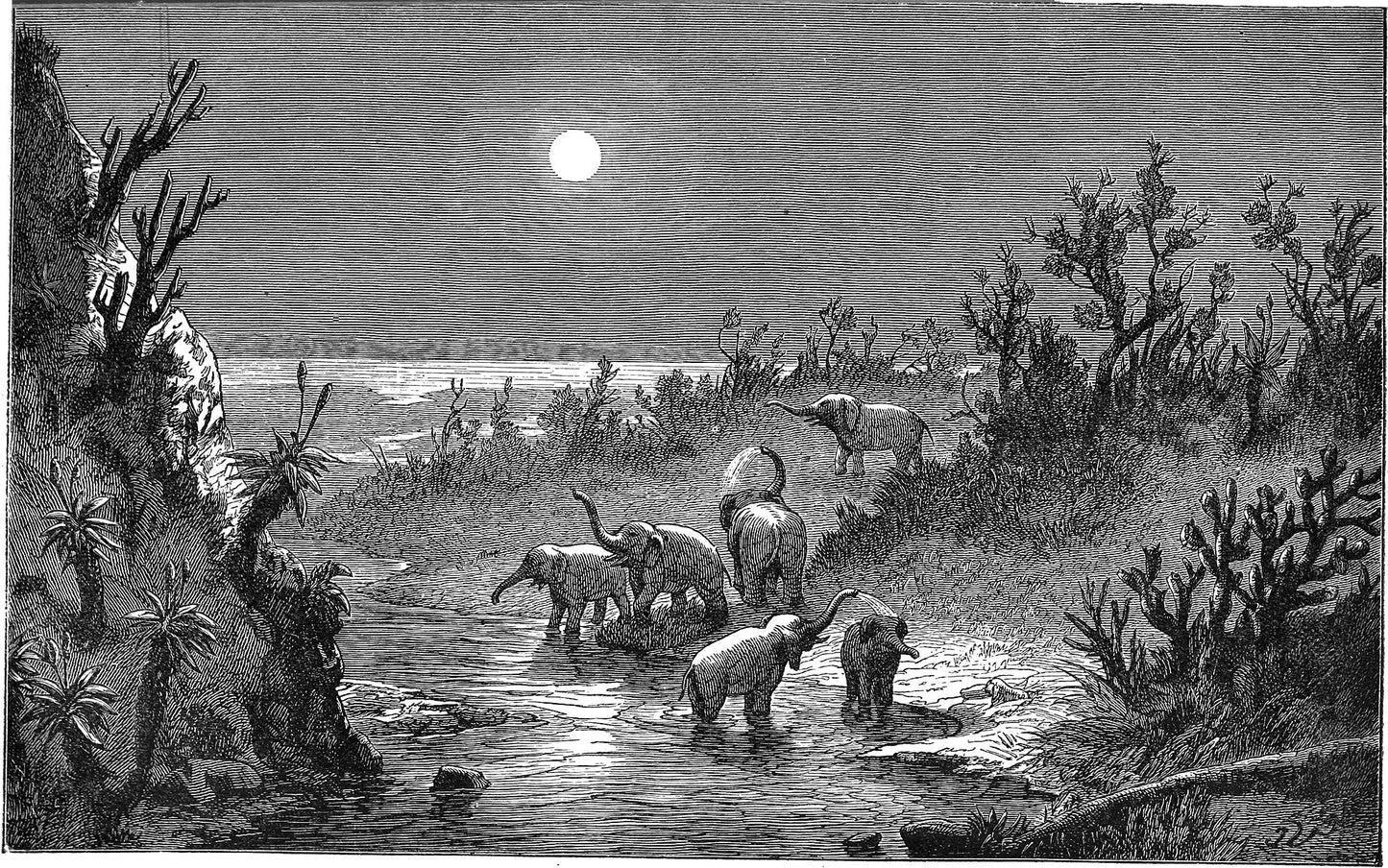 Moonlit elephants art print (1881)  The Trumpet Shop   