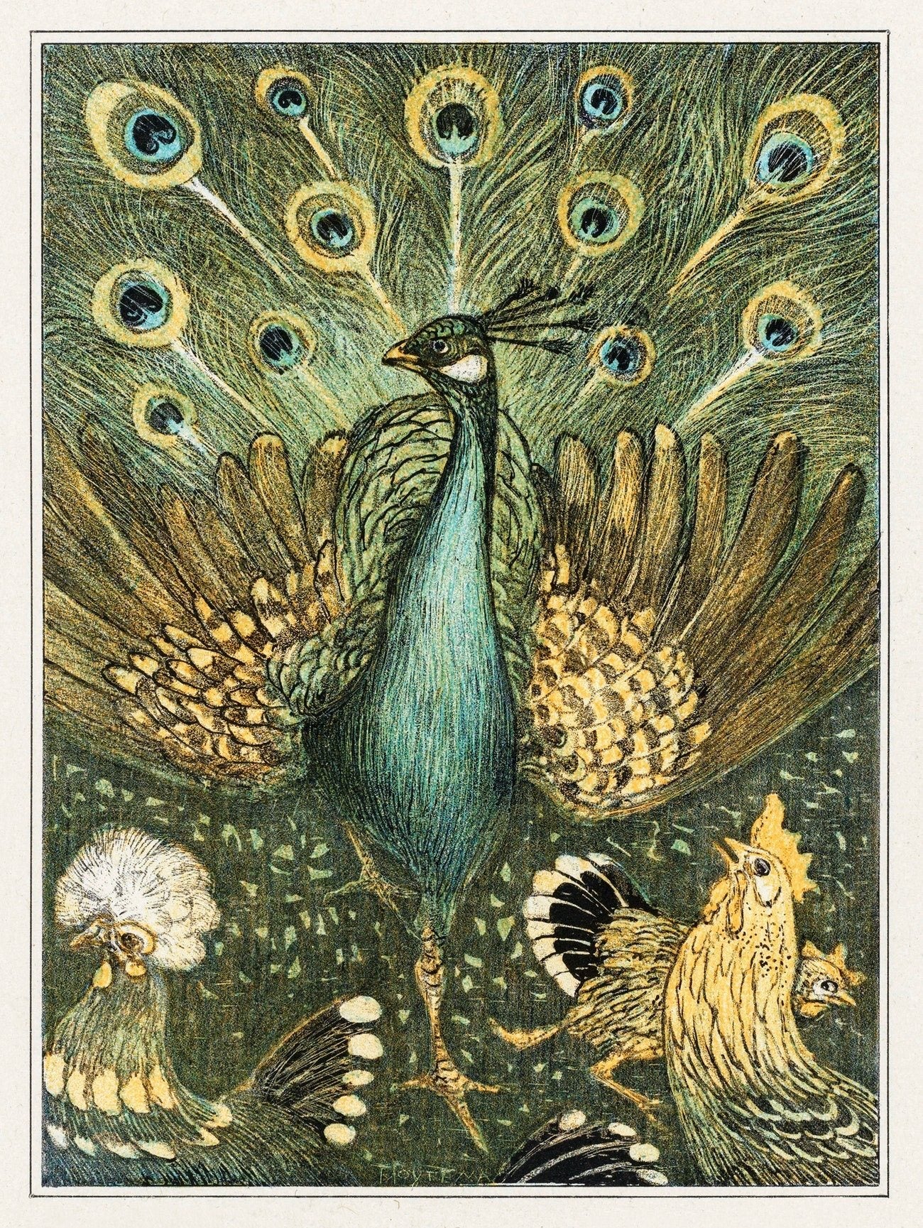 Peacock art print (c1880s) | Theo van Hoytema  The Trumpet Shop   