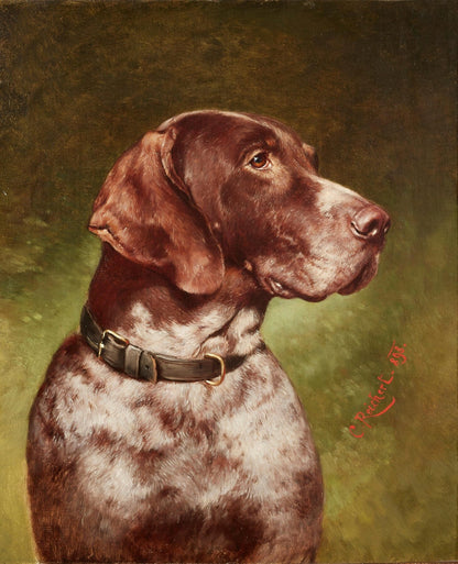 German shorthaired pointer artwork (1800s) | Carl Reichert