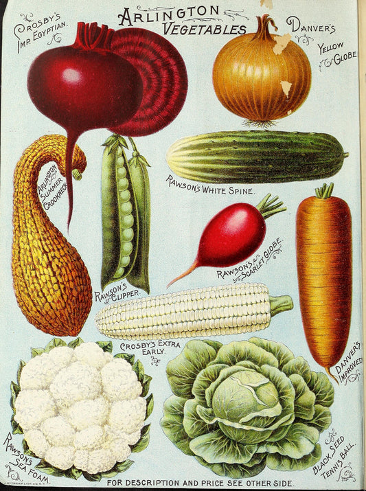 Rawson's Vegetable and Flower Seeds poster artwork (1895) Posters, Prints, & Visual Artwork The Trumpet Shop   