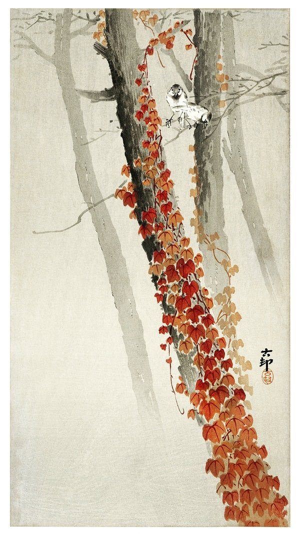 Red ivy (early 1900s) | Ohara Koson | Japanese art print  The Trumpet Shop   