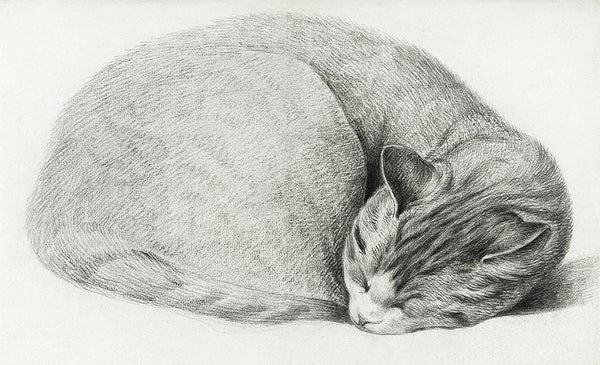 Sleeping cat artwork (1800s) | Jean Bernard Posters, Prints, & Visual Artwork The Trumpet Shop   
