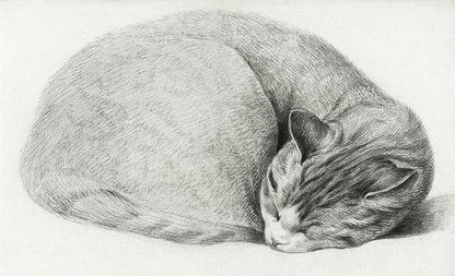 Sleeping cat artwork (1800s) | Jean Bernard