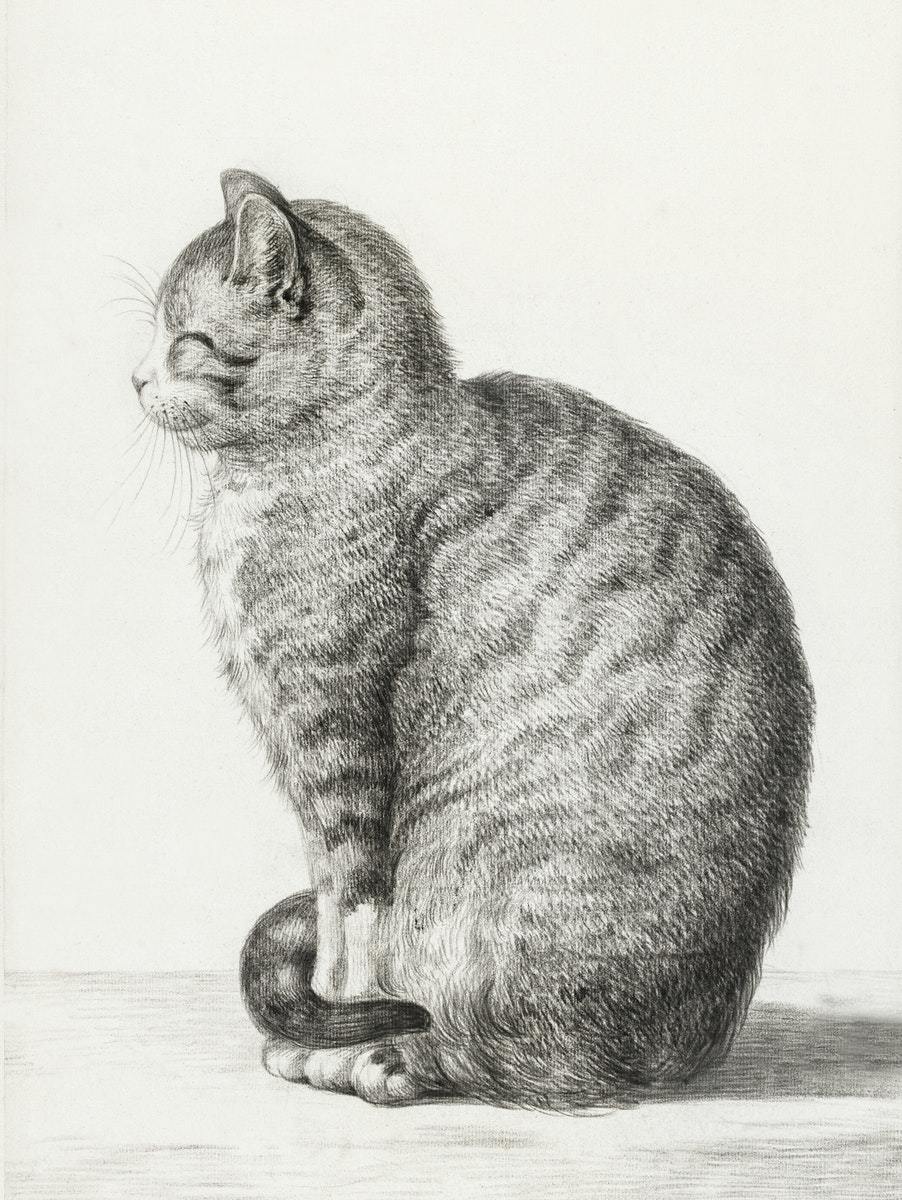 "Sitting Cat" art print (1815) | Jean Bernard Posters, Prints, & Visual Artwork The Trumpet Shop   