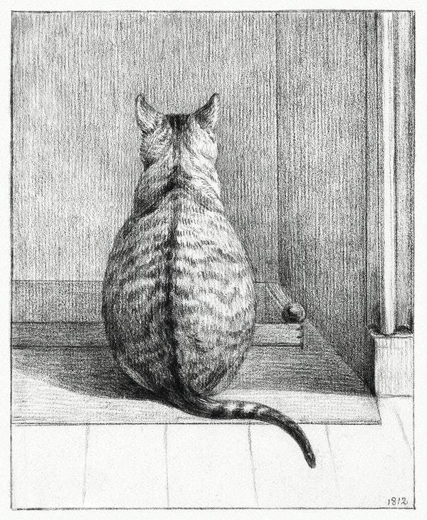 Sitting cat art print, from behind (1812) | Jean Bernard  The Trumpet Shop   