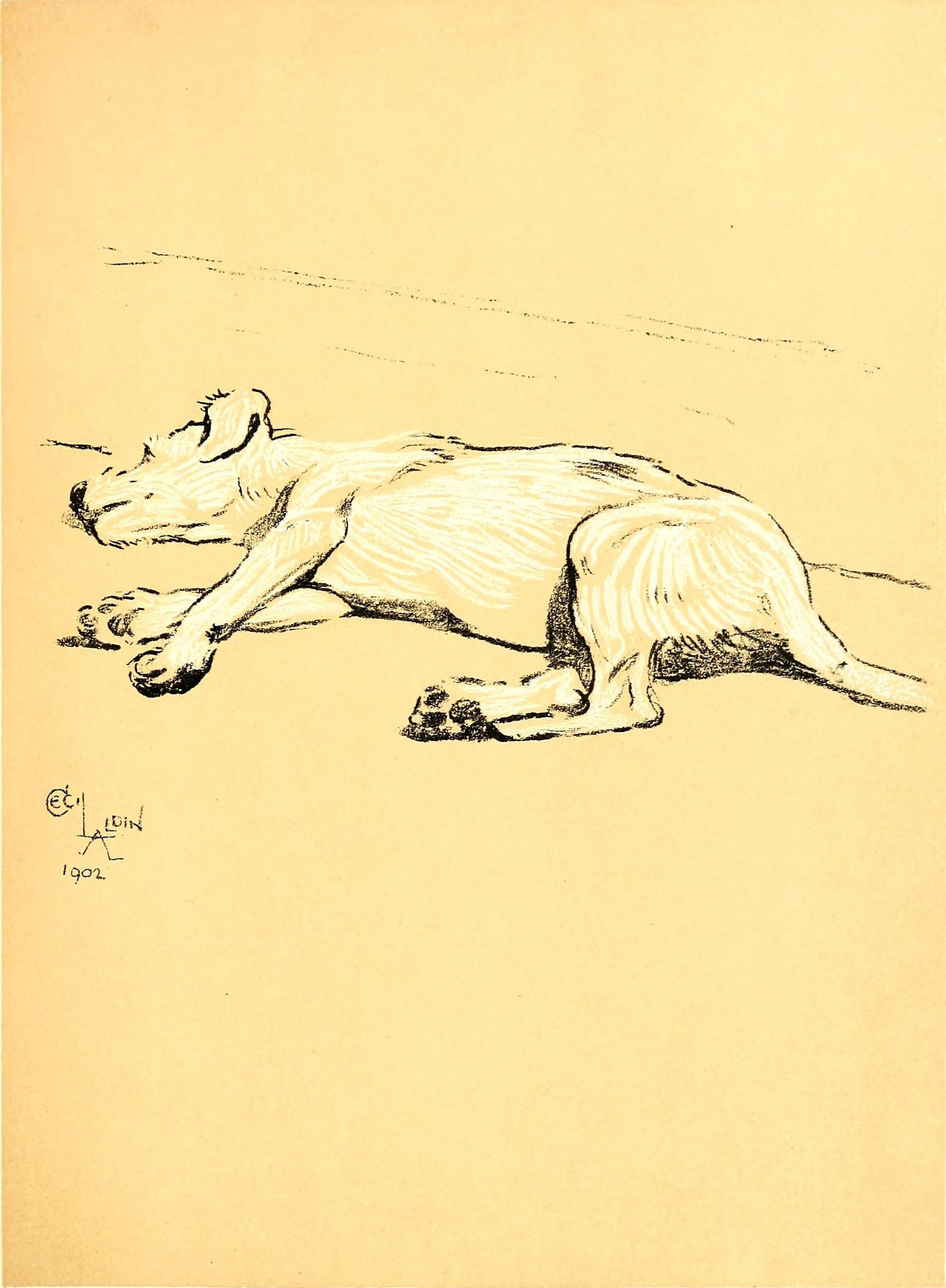 Sleeping dog art print (1902) | Cecil Aldin  The Trumpet Shop   