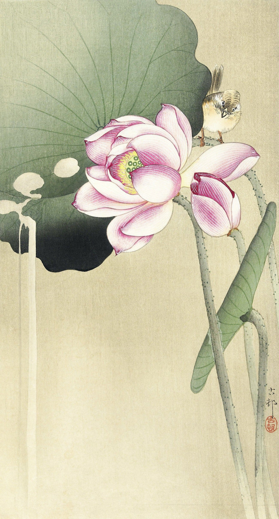 Songbird and Lotus (1900s) | Japanese prints | Ohara Koson Posters, Prints, & Visual Artwork The Trumpet Shop   