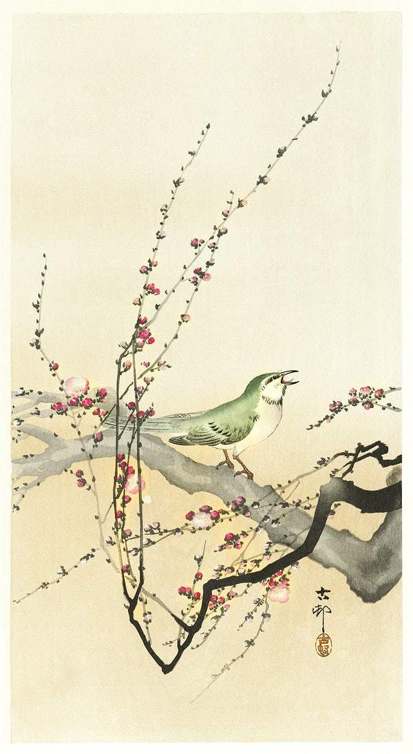 Songbird and plum blossom (1900s) | Japanese prints | Ohara Koson Posters, Prints, & Visual Artwork The Trumpet Shop   