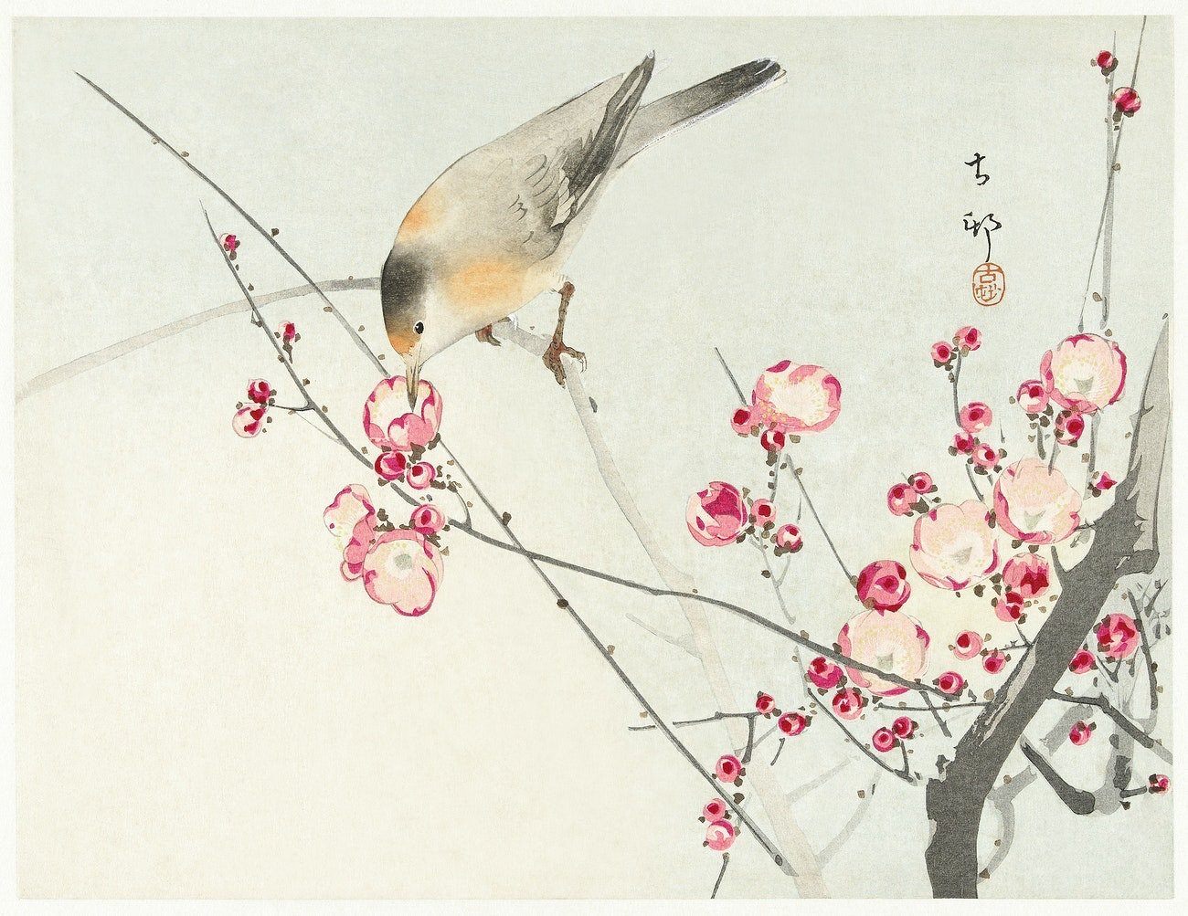 Songbird on blossom branch (1900s) | Ohara Koson | Japanese art print  The Trumpet Shop   