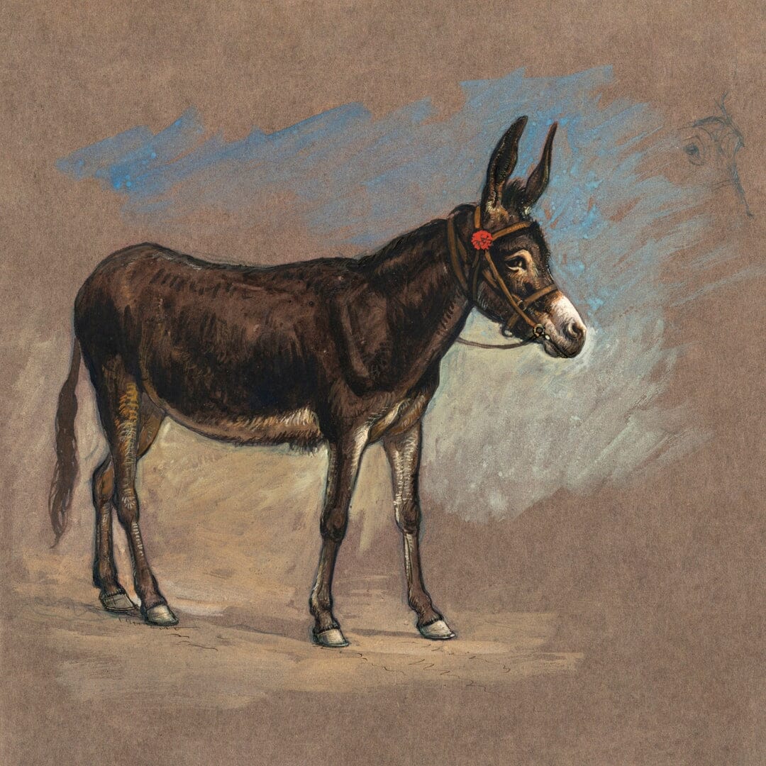 Study of a mule (1800s) | Mule art prints |  Samuel Colman Posters, Prints, & Visual Artwork The Trumpet Shop   