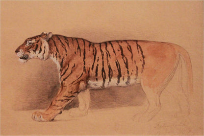 Walking tiger artwork (1800s) | Raden Saleh