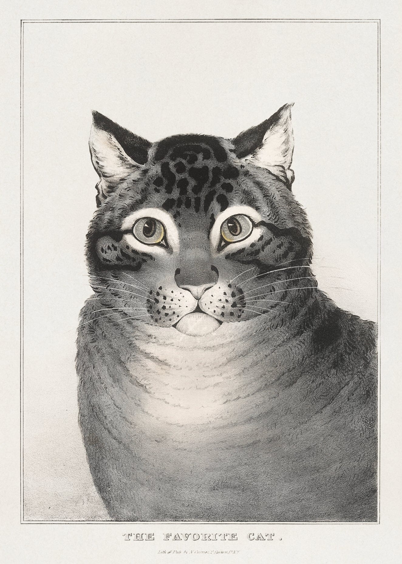 The Favorite Cat (c1840s) | Black and white art prints | Nathaniel Currier Posters, Prints, & Visual Artwork The Trumpet Shop   