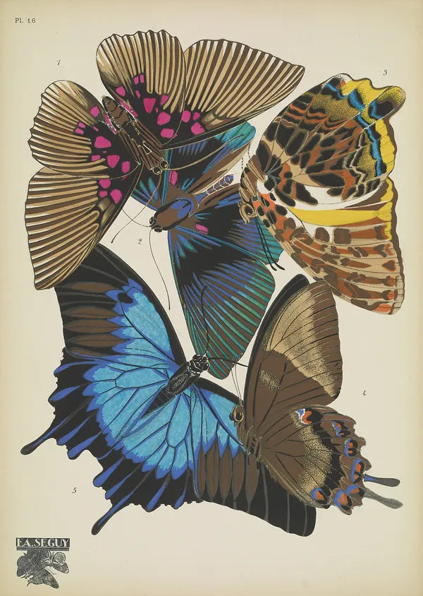 Art deco Butterflies (2) (1920s) | Jazz age art | E. Seguy Posters, Prints, & Visual Artwork The Trumpet Shop   
