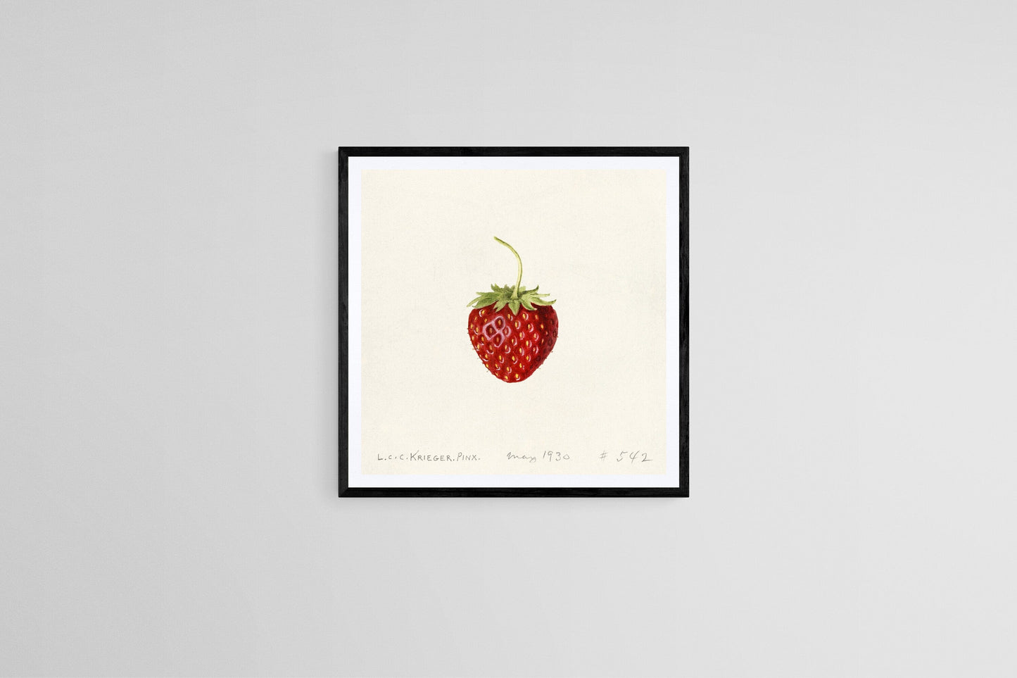 "Vintage Strawberry" (1930) | Botanical kitchen prints Posters, Prints, & Visual Artwork The Trumpet Shop   