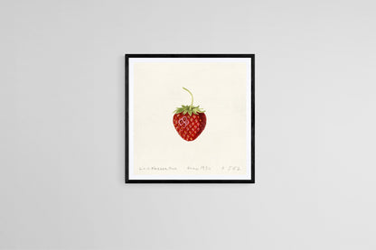 "Strawberry" (1930s) | Vintage strawberry prints | Louis Krieger Posters, Prints, & Visual Artwork The Trumpet Shop   