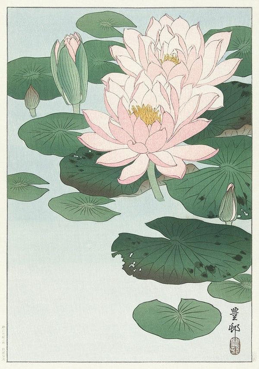Water Lily (c1920s) | Japanese prints | Ohara Koson Posters, Prints, & Visual Artwork The Trumpet Shop   
