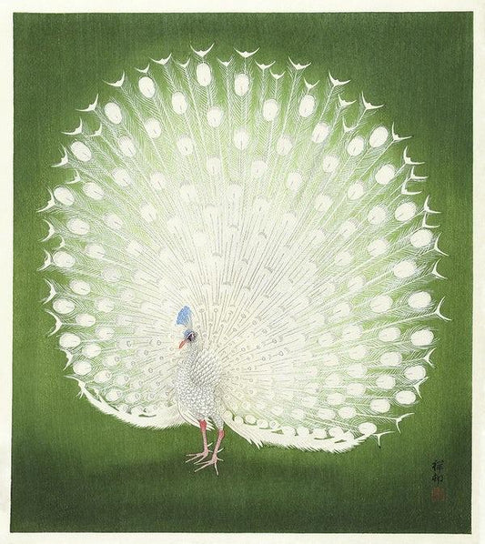 White Peacock print (1920s) | Ohara Koson